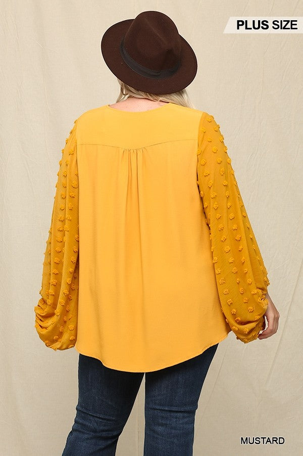 Woven And Textured Chiffon Top With Voluminous Sheer Sleeves