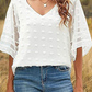 Women's Solid Color V-neck Clip Dot With 3/4 Chiffon Sleeves Blouse